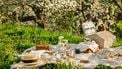 Winnen: een mooi zomerpakket van Dille & Kamille voor een diner of wandeling