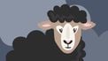 zwarte schaap familie