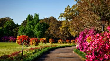 parken in nederland