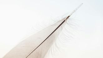 minimalisme