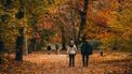 Samen wandelen voor mentale gezondheid: Walk of Life organiseert gratis driedaagse door heel Nederland