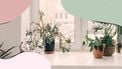 huis met feng shui