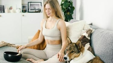maakt een hond gelukkig