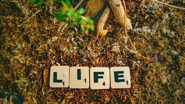 the school of life 10 mooiste lessen