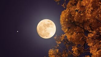 Volle maan september 2026: dit betekent de volle maan in Ram voor jou