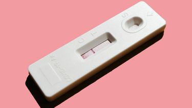 abortus cijfers gestegen in Nederland