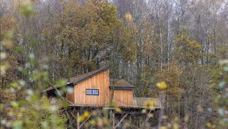 boomhut ardennen 2