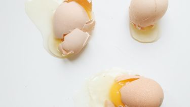 Proteïne uit eieren