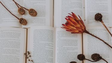 Gedroogde bloemen op een stapel opengeslagen boeken