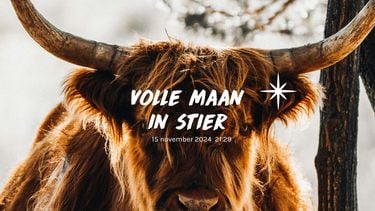 volle maan in stier 15 november