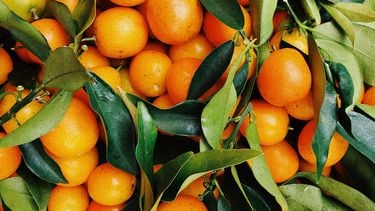 sinaasappels met bladeren bij elkaar