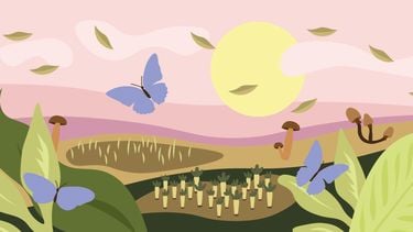 tuin met Biodiversiteit