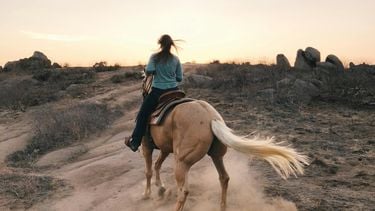 vrouw op een paard