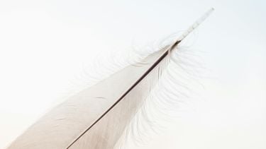 minimalisme