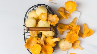 medicinale mushrooms in een bakje