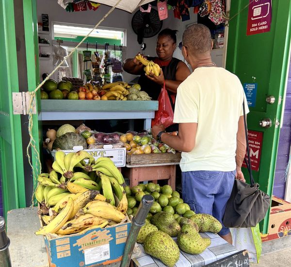 Een droom van een vakantie mét uniek duurzaam tintje: Barbados