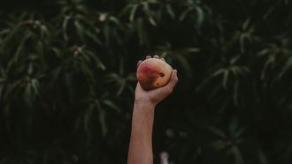 mango-gezond