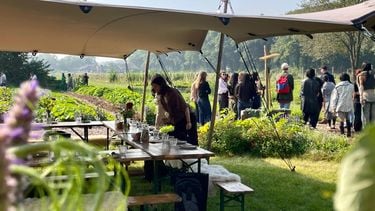 boerderij t gagel
