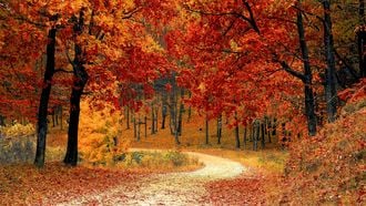 herfstwandeling