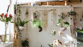 Kamer met planten