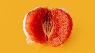 Afbeelding van grapefruit als vagina
