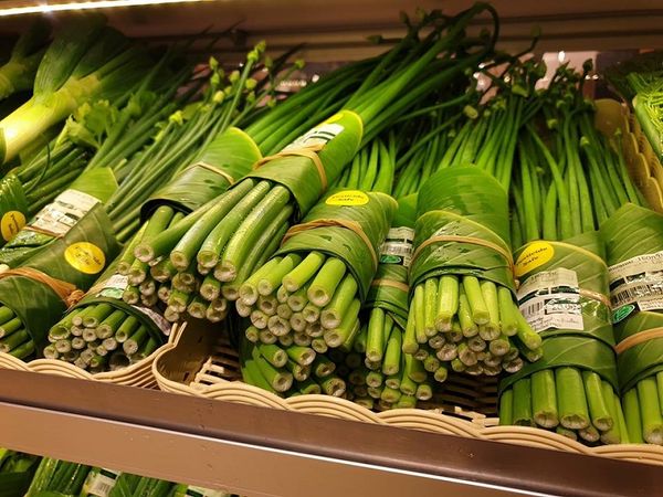Bananenbladeren vervanging van plastic verpakkingen