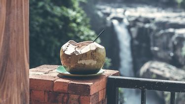 Kokosnoot met waterval op de achtergrond