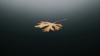 herfstequinox