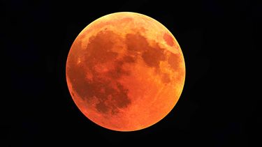 volle-rode-maan