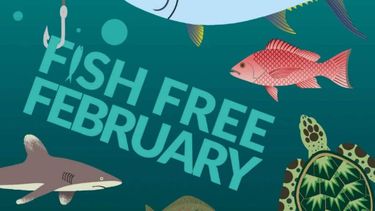 fish free february illustratie