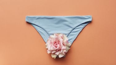 ph-waarde gezonde vagina bikinibroekje