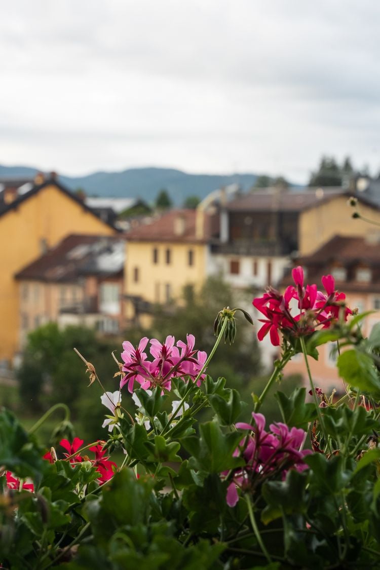 Rigoni di Asiago