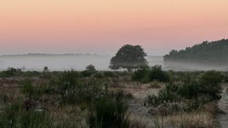 hardlopen meditatief
