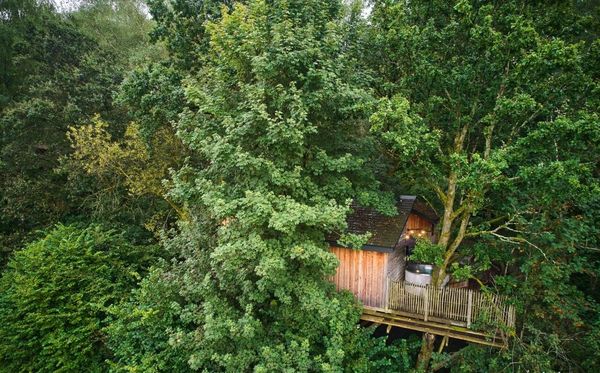 boomhut ardennen