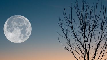 Volle maan 10 oktober 2022