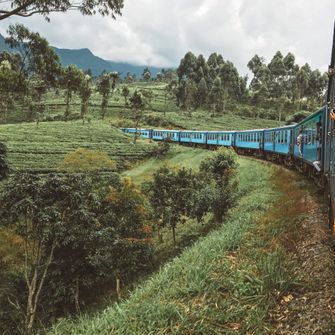 treinreis Sri Lanka