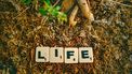 the school of life 10 mooiste lessen