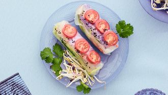 Vietnamese spring rolls