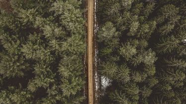 Bos van bomen af met een weg in het midden, ontbossing