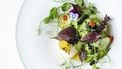 vegan restaurants noorden