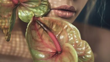 mond cortisol