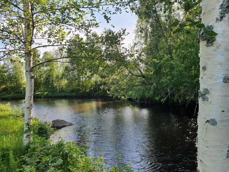 Camping in Zweden te koop: 395.000 euro met gratis Noorderlichtkans