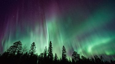 Het noorderlicht zien in in Lapland