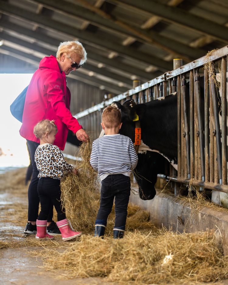 Activiteit op de Open Boerderijdagen.