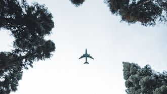 Vliegtuig tussen bomen