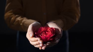 Vrouw die roos in haar handen houdt