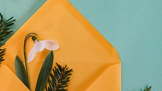groene cadeaus in enveloppe