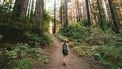 walk-of-life