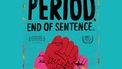 Poster van Period. End of sentence op Netflix