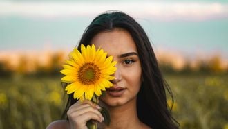 Ram-seizoen is begonnen: hier blinkt het sterrenbeeld in uit